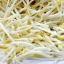 Bean sprouts