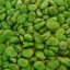 broad bean